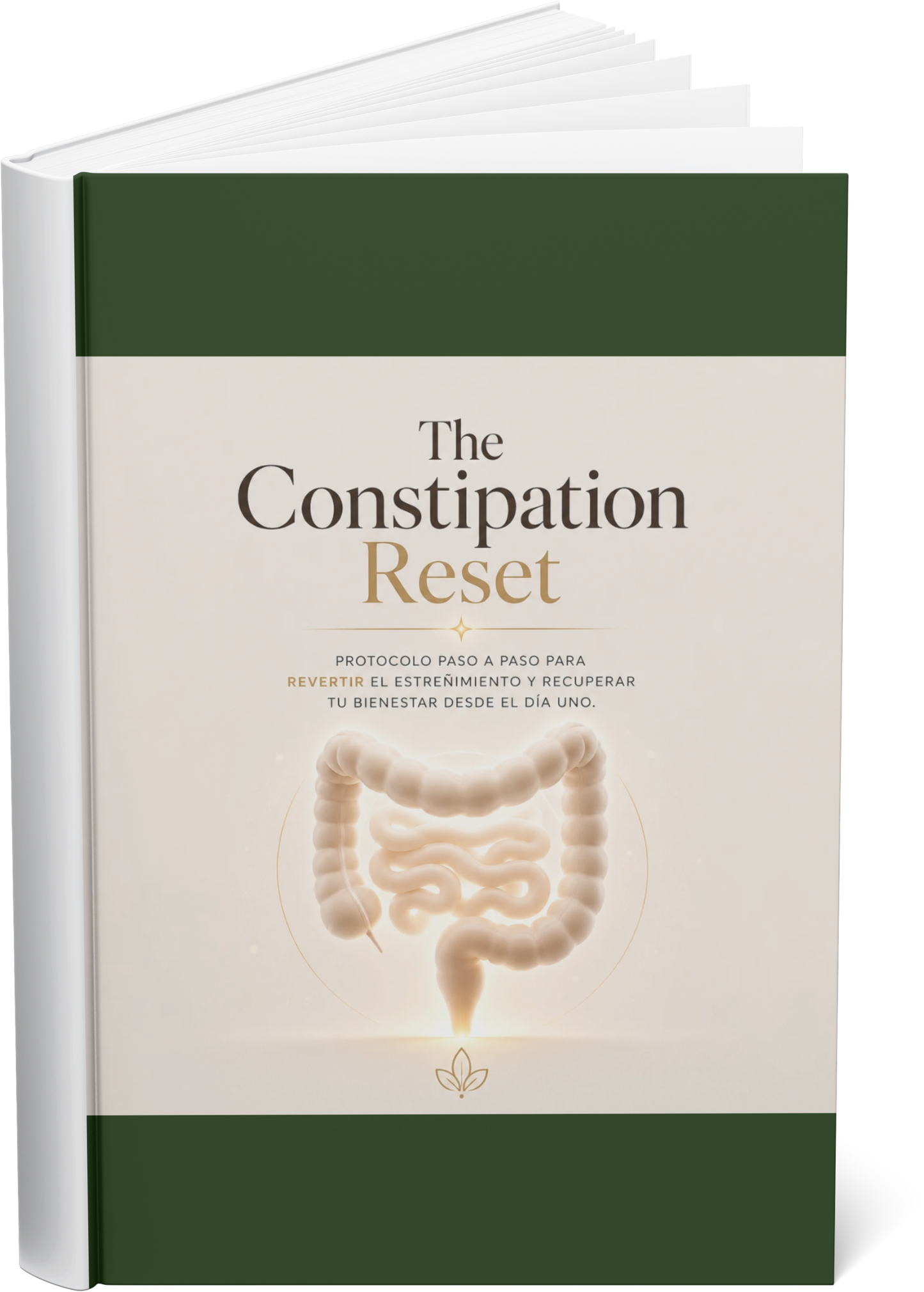 The Constipation Reset