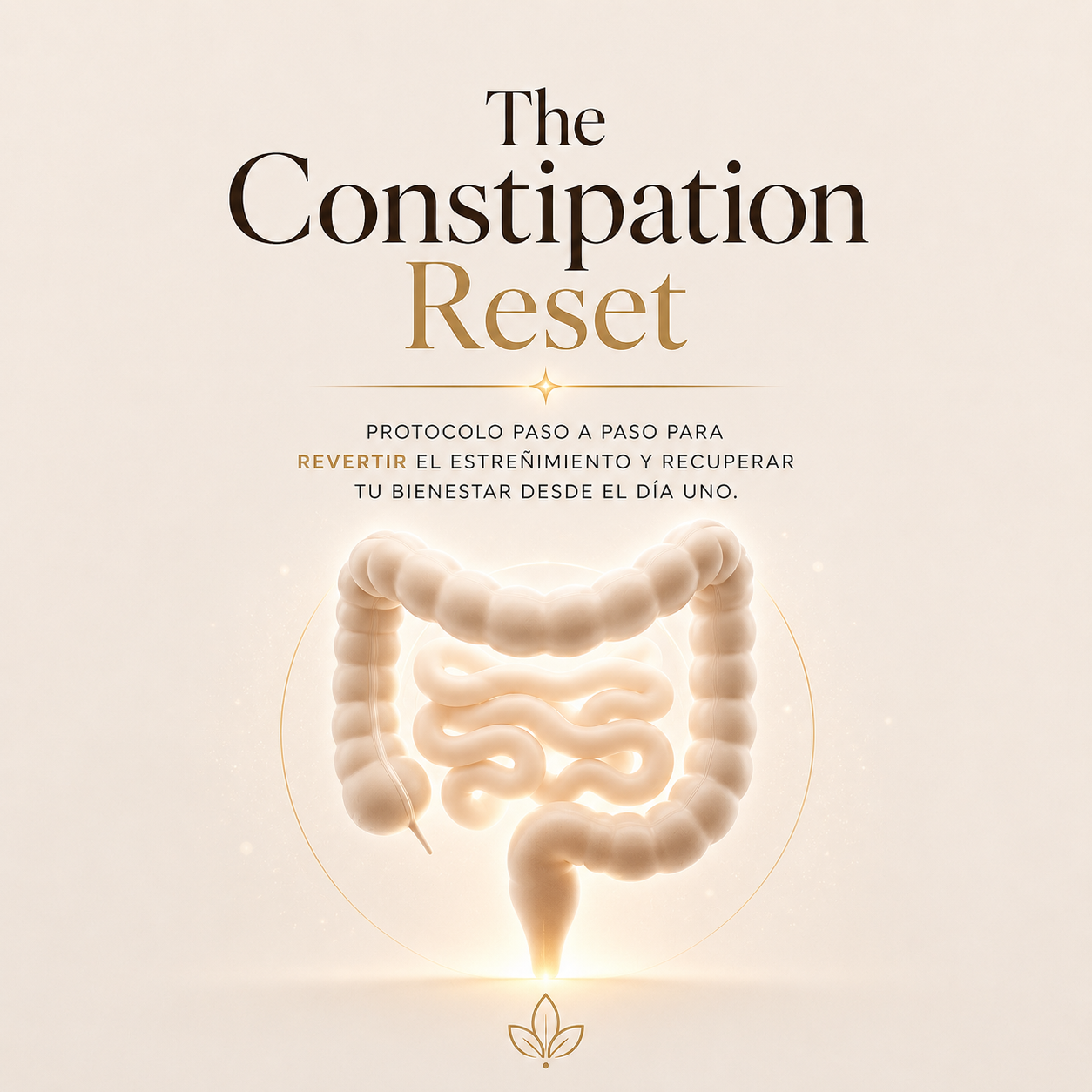 The Constipation Reset
